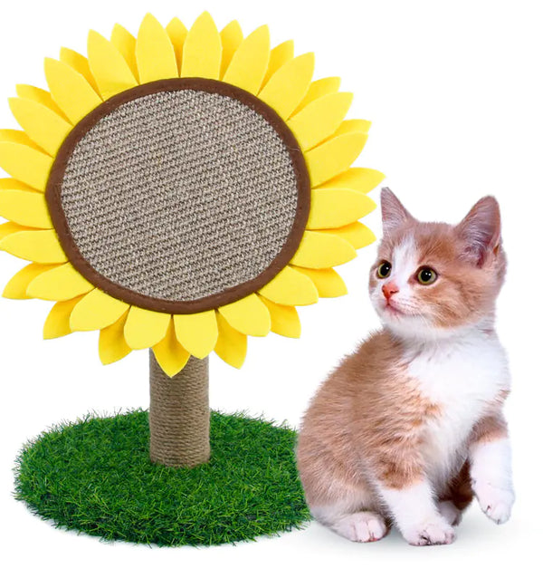 Cat Scratching Pad - In Paw Store