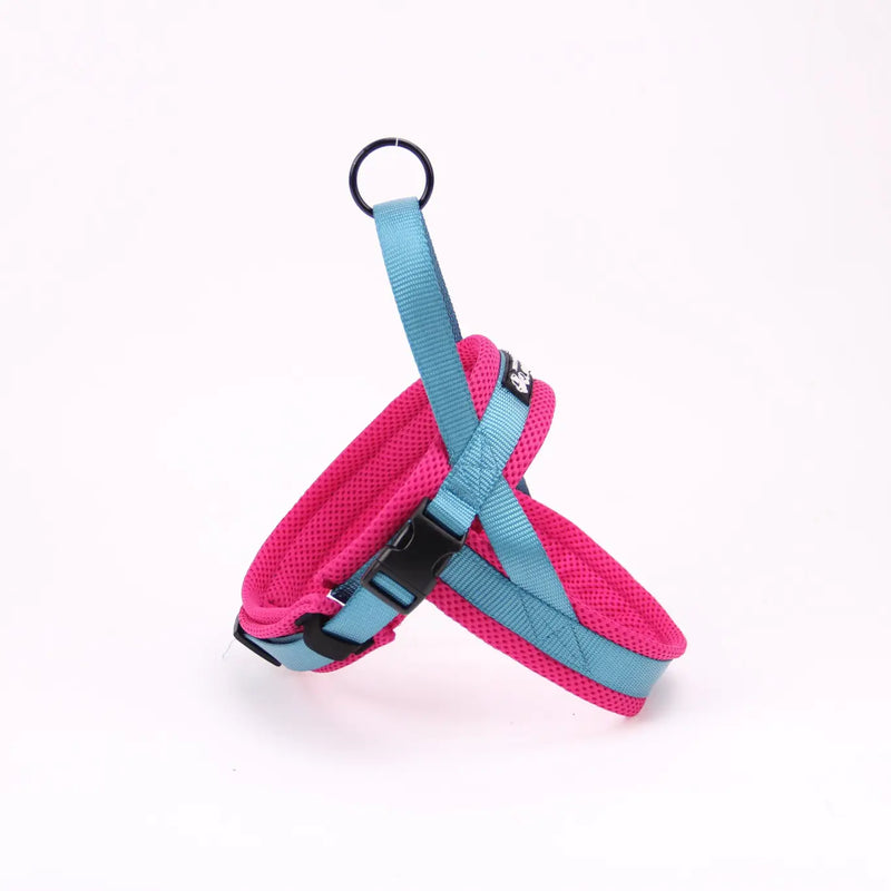Pet Chains, Collars, and Leash - In Paw Store