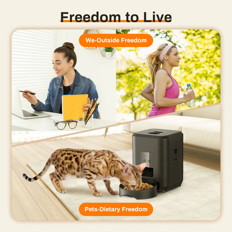 Automatic Pet Feeder - In Paw Store