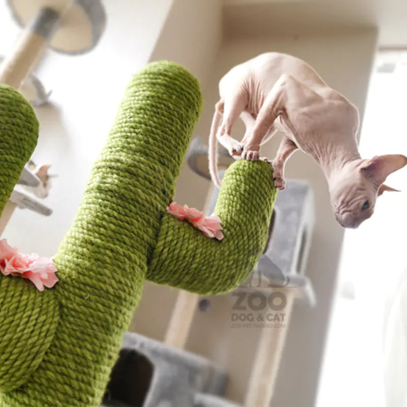 DIY Crafts and Cat Toys (10m) - In Paw Store