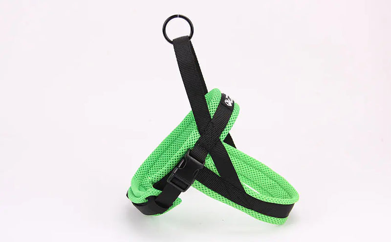 Pet Chains, Collars, and Leash - In Paw Store