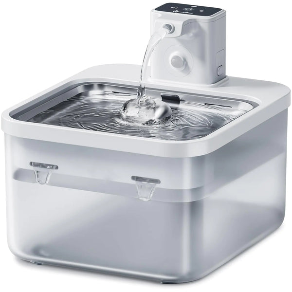 Pet Water Fountain - In Paw Store