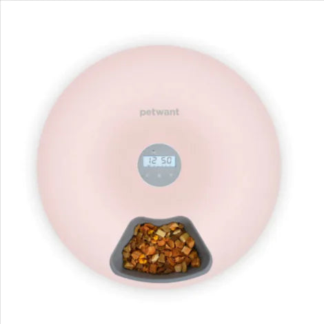 Automatic Pet Feeder for Cats & Dogs - In Paw Store
