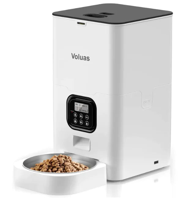 Intelligent Automatic Double Meal Pet Feeder (4L & 6L, Various Colors & Styles) - In Paw Store