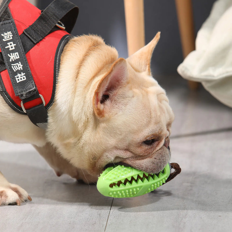 Interactive Dog Food Leakage Toy - Elastic Rubber Ball - In Paw Store