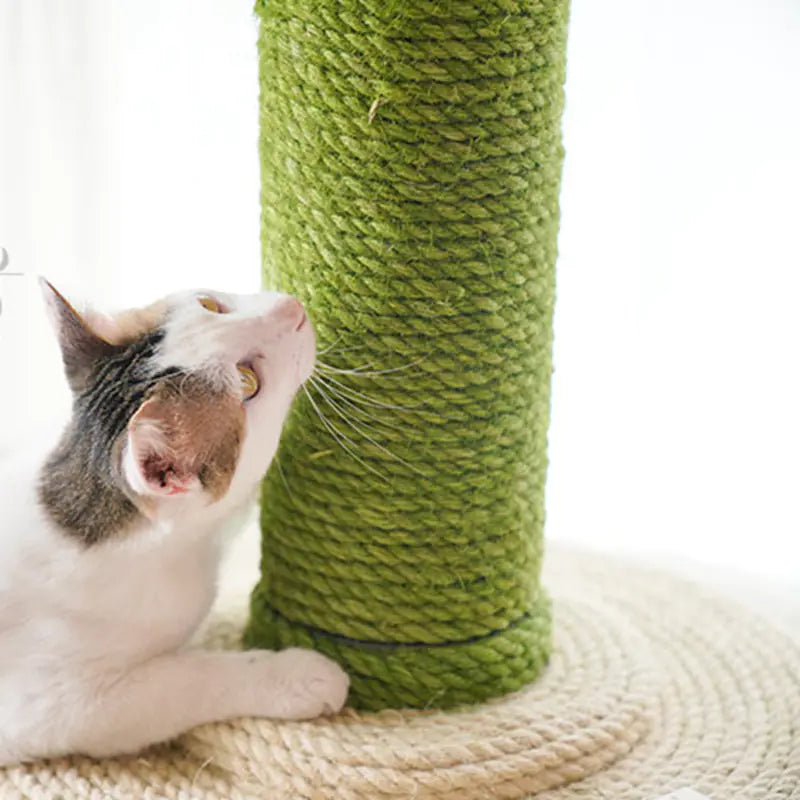DIY Crafts and Cat Toys (10m) - In Paw Store
