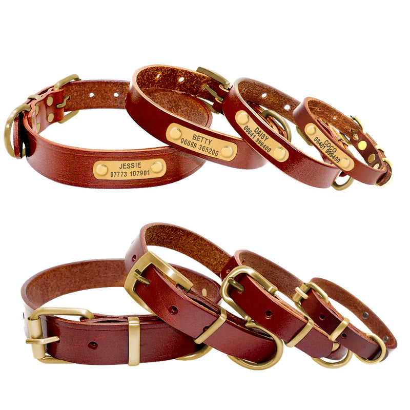 Custom Leather Dog Collars - In Paw Store