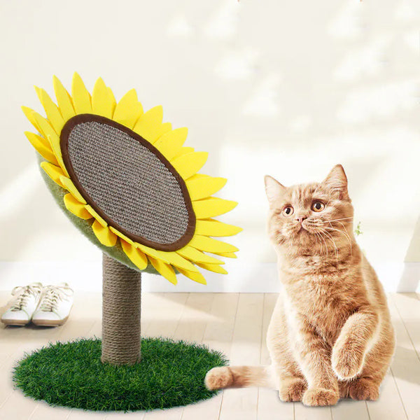 Cat Scratching Pad - In Paw Store