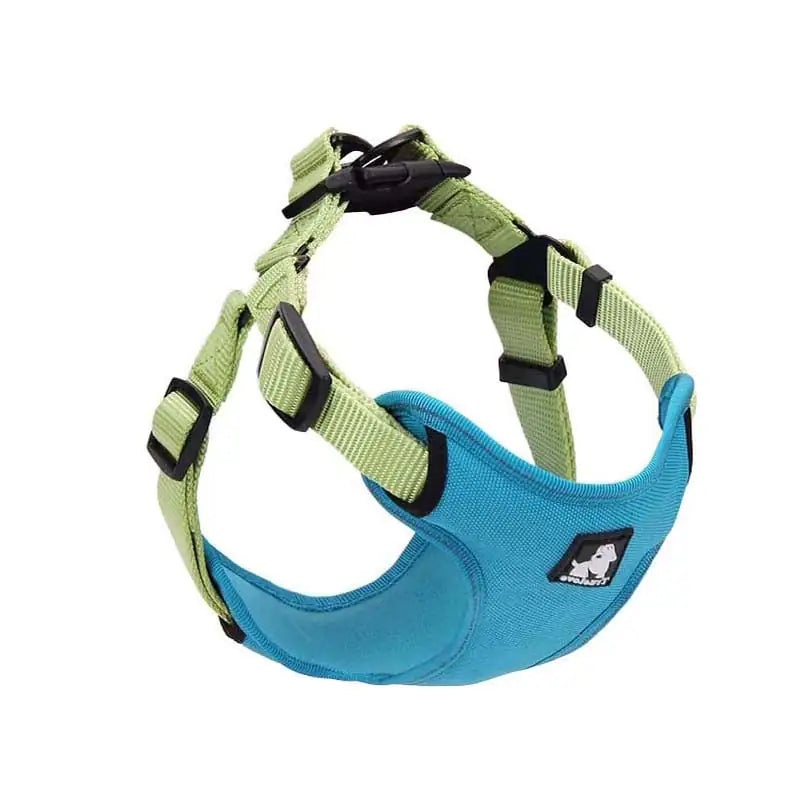 Dog Leash and Collar Set for Walking Your Dog