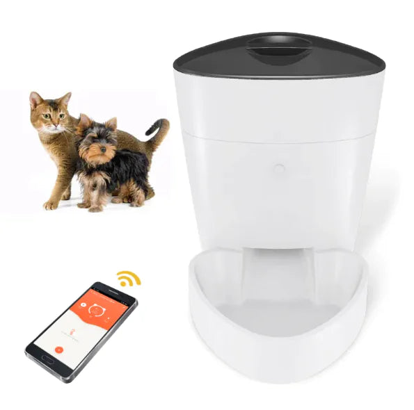 Pet Feeder - In Paw Store