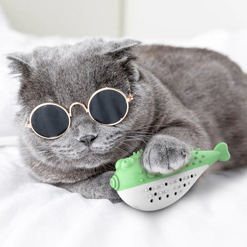 Mint Fish Cat Toy with Toothbrush Chew