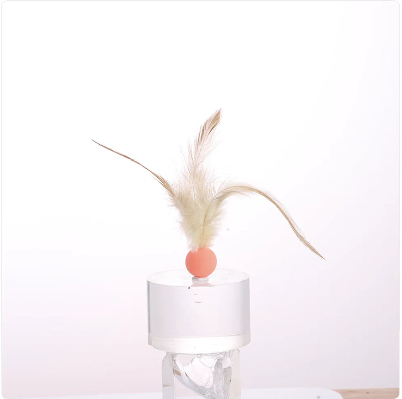 Elastic Chicken Feather Ball Cat Toy