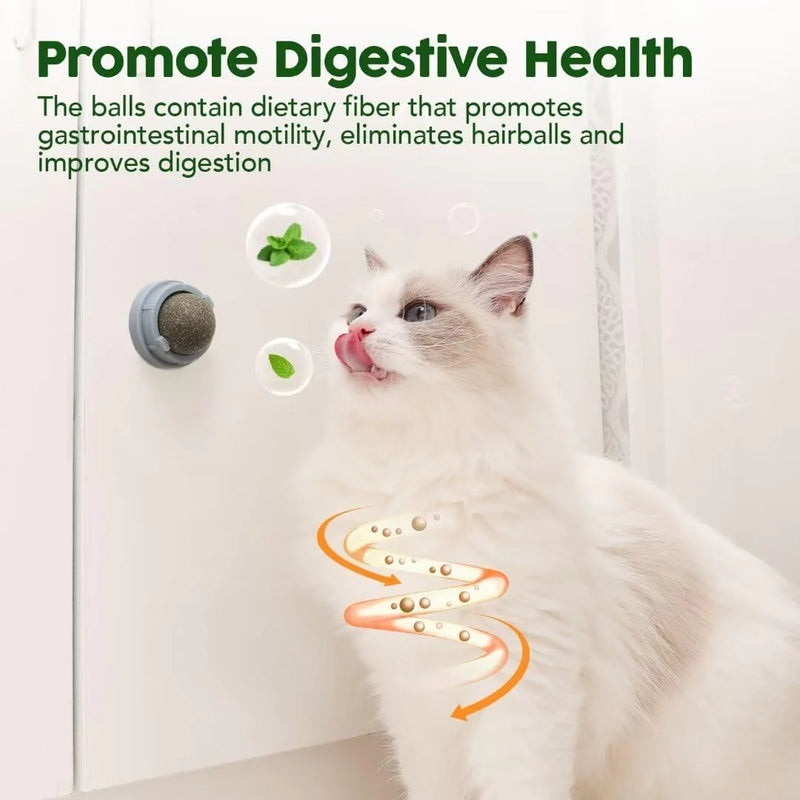 Edible Catnip & Silvervine Ball Toy Set (4 Pcs)