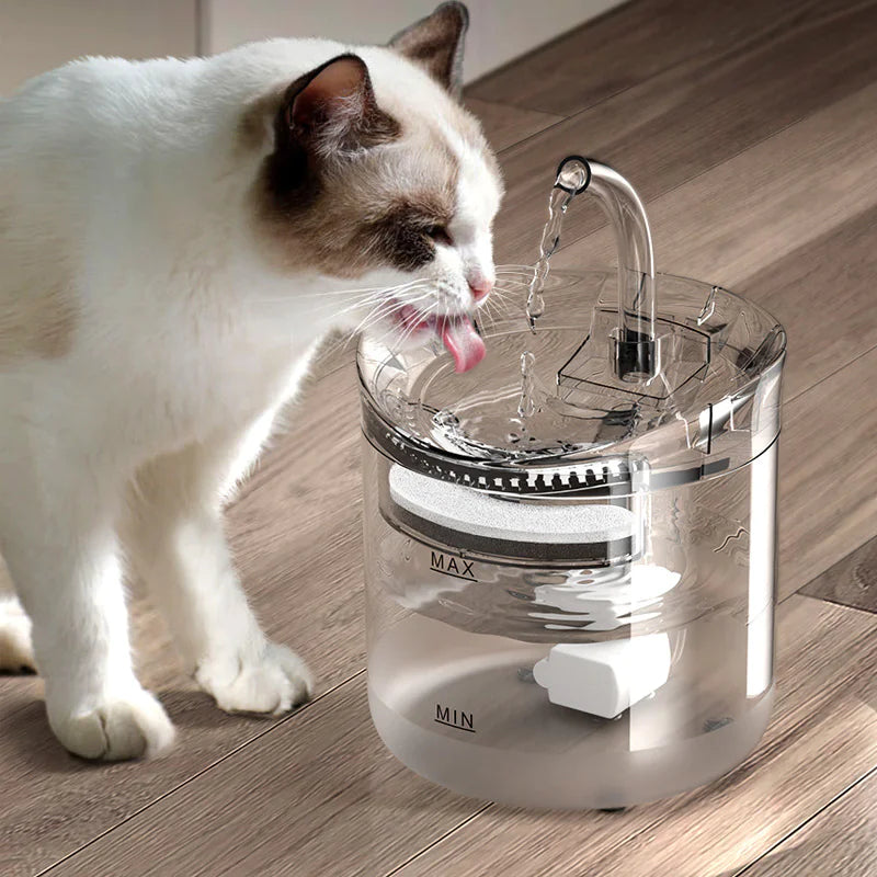 Pet Water Dispenser Automatic Circulation Smart Cat - In Paw Store