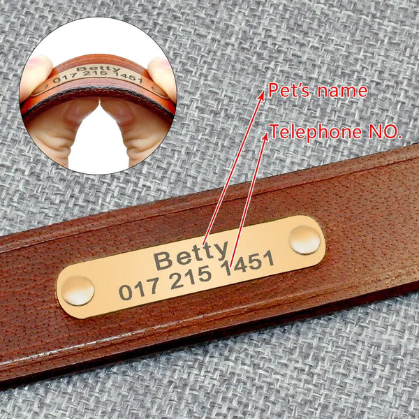 Custom Leather Dog Collars - In Paw Store