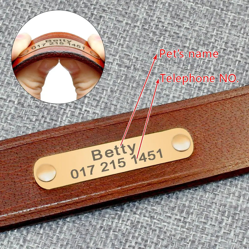 Custom Leather Dog Collars - In Paw Store