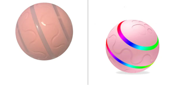 Wicked Ball Toy - In Paw Store