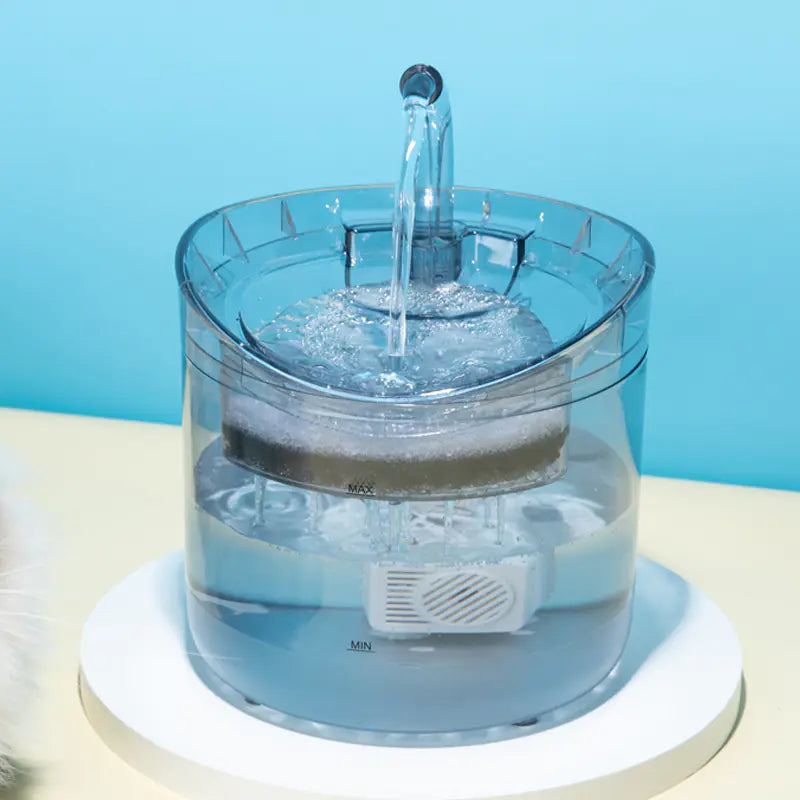 Pet Water Dispenser with Filters - In Paw Store