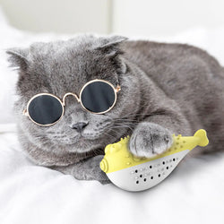 Mint Fish Cat Toy with Toothbrush Chew