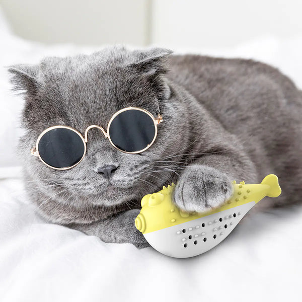 Mint Fish Cat Toy with Toothbrush Chew