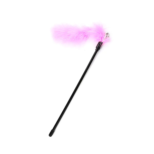 Feline Fun Feather Teaser Toy with Bell
