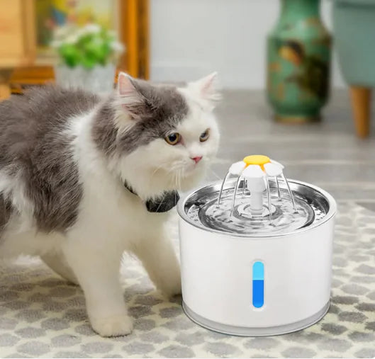 Water Fountain with LED Light - In Paw Store