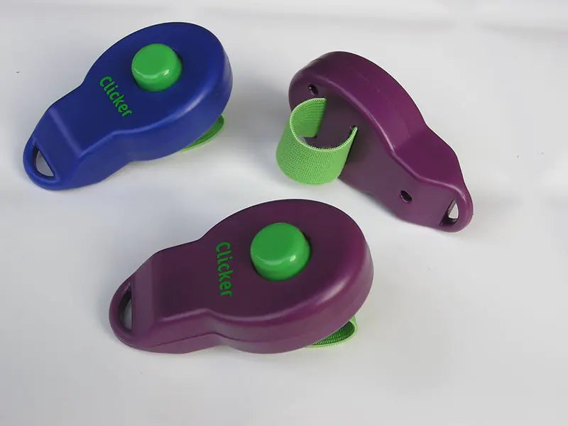 Ring Clicker Pet Training - In Paw Store