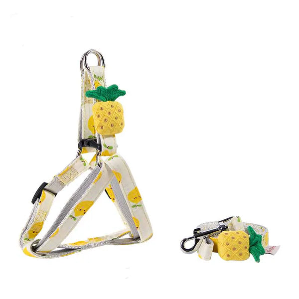 Dog Collars and Leash - In Paw Store