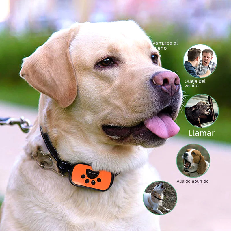 Dog Bark Control Collar - In Paw Store