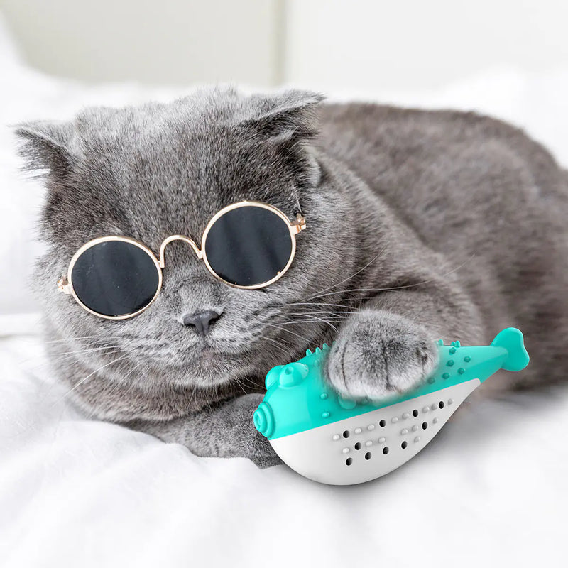 Mint Fish Cat Toy with Toothbrush Chew