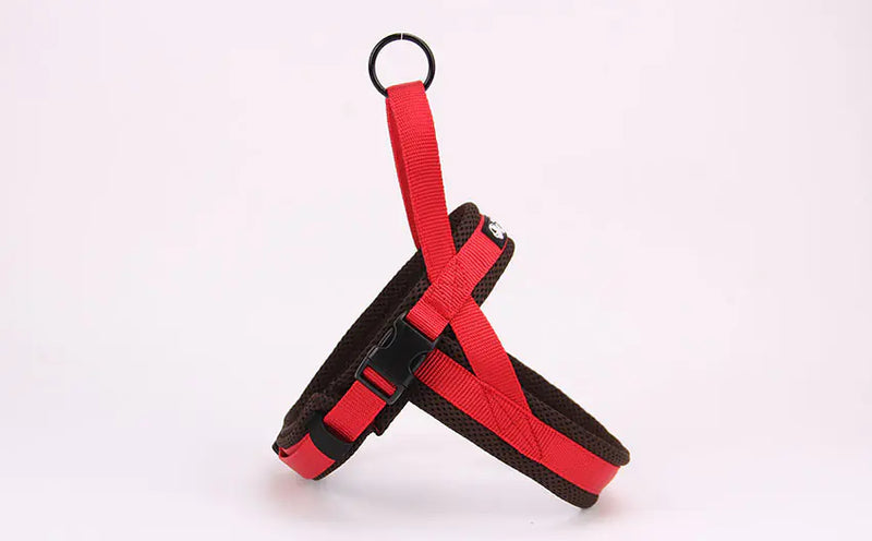 Pet Chains, Collars, and Leash - In Paw Store