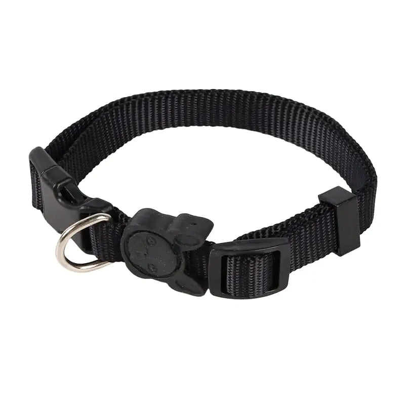 Retractable Dog Leash  Collars - In Paw Store