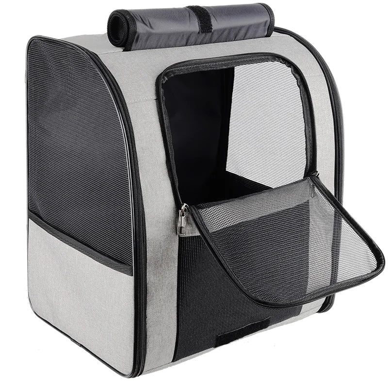 Pet Carrier - In Paw Store