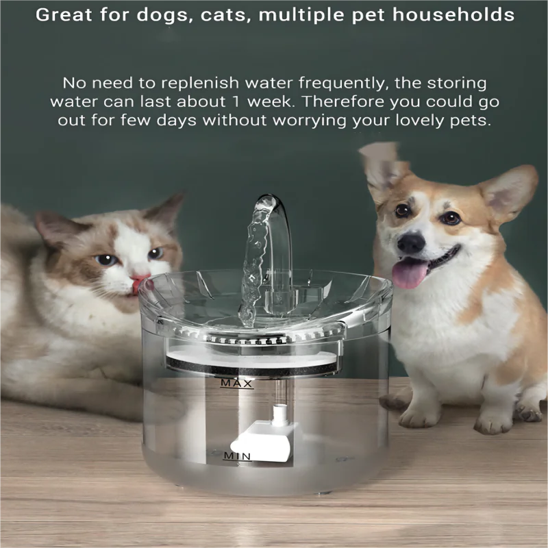 Pet Water Dispenser with Filters - In Paw Store