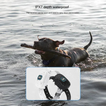 Bark Control Collar
