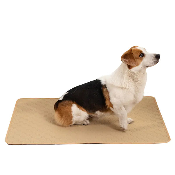 Pet Training Pads - In Paw Store