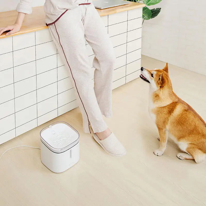 Xiaomi Pet Water Dispenser - In Paw Store