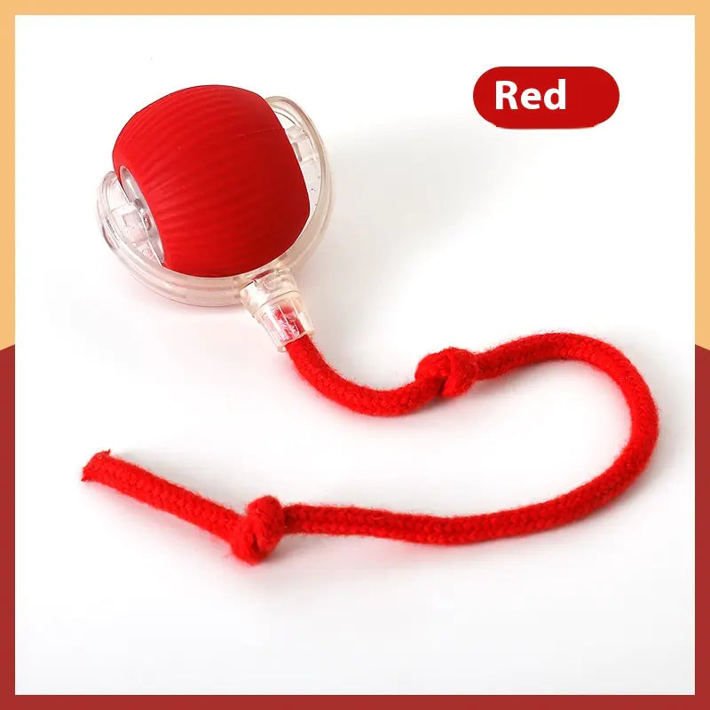 Interactive Cat Toy Ball - In Paw Store
