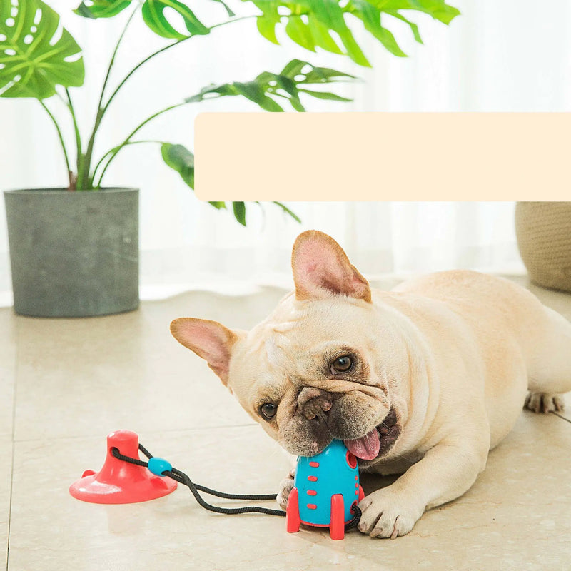 Rocket Dog Toys - In Paw Store