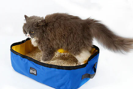 Portable Folding Cat Litter Box - In Paw Store