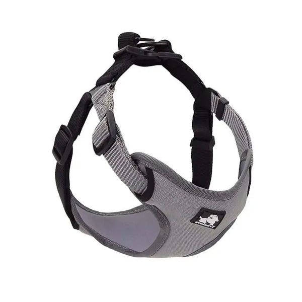 Dog Leash and Collar Set for Walking Your Dog