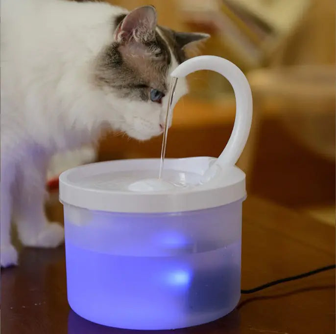 Automatic Pet Water Dispenser for Cats and Dogs - In Paw Store