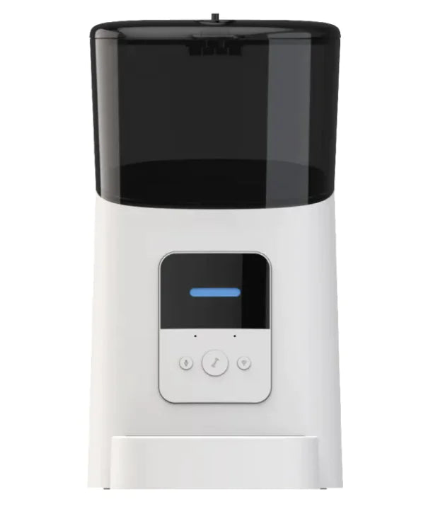 Pet Feeder - In Paw Store