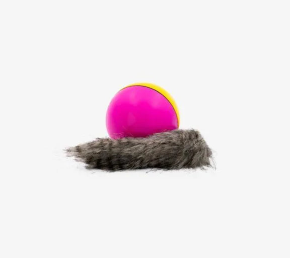 Electric Beaver Ball Water Toy for Bath Time Fun