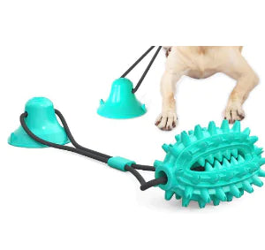 DentiGrip - Dog Dental Cleaning Interactive Toy (One Piece) - In Paw Store