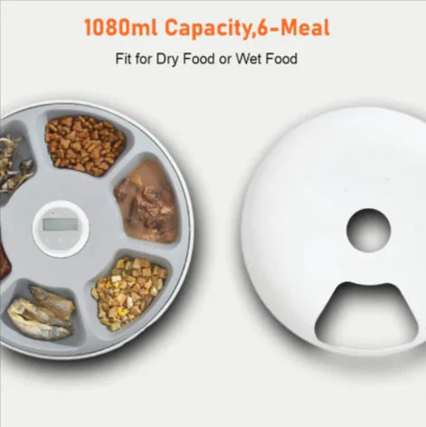 Automatic Pet Feeder for Cats & Dogs - In Paw Store