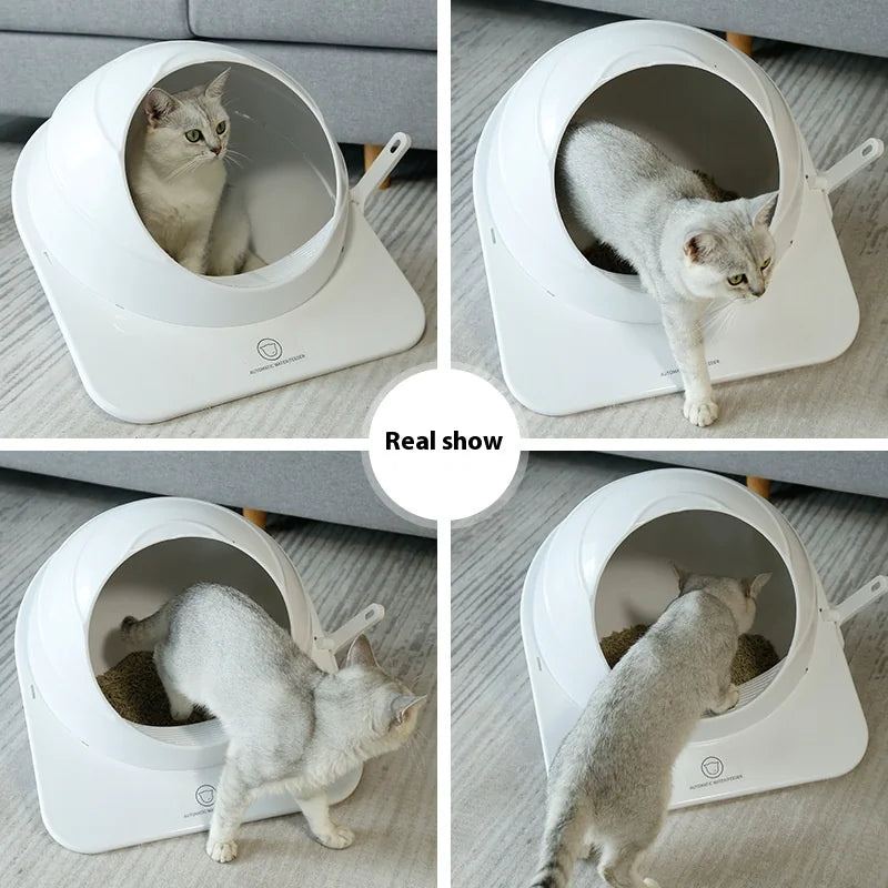 Litter Box Large Fully Enclosed - In Paw Store