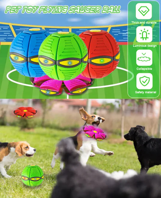 Magic UFO Dog Ball