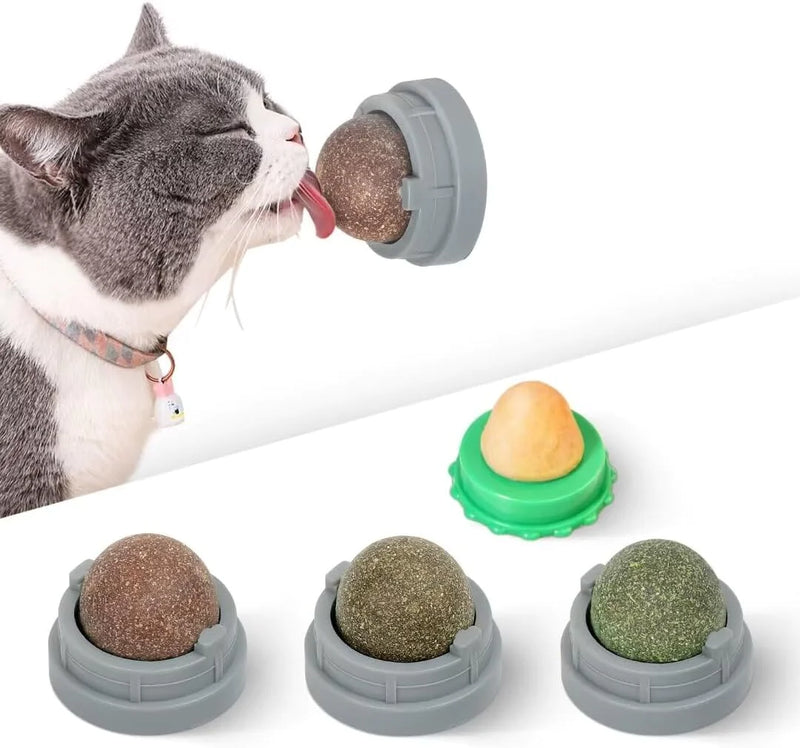 Edible Catnip & Silvervine Ball Toy Set (4 Pcs)