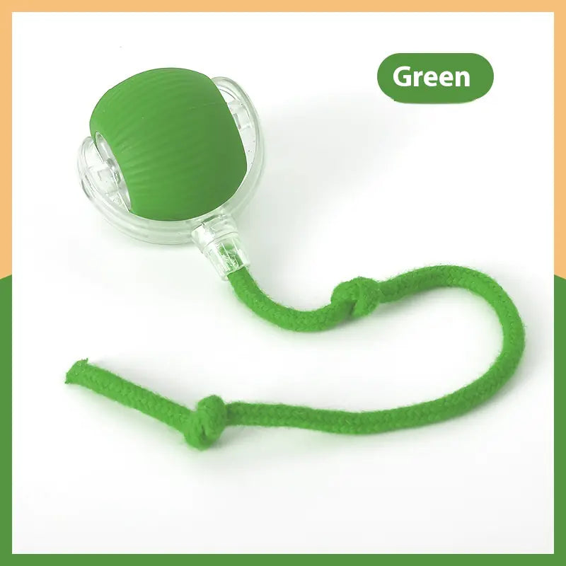 Interactive Cat Toy Ball - In Paw Store